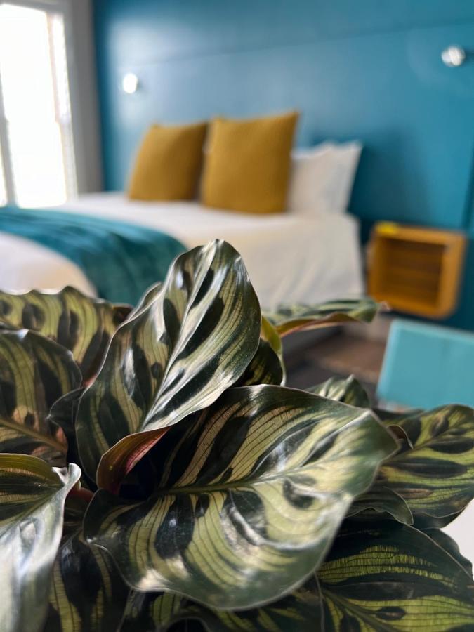 Hermanus Waterfront Apartment No 17 Екстер'єр фото